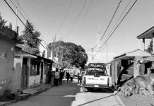 Alertan sobre maltrato animal: FGE investiga muerte de dos perros en San Nicolás Obispo