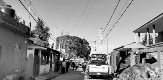 Alertan sobre maltrato animal: FGE investiga muerte de dos perros en San Nicolás Obispo