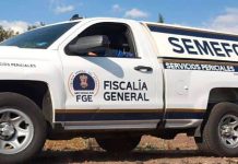 Hombre muere atropellado en Cuitzeo