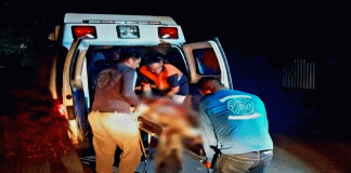 Discusión termina con un herido balazos en Gabriel Zamora