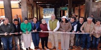 Abre Bedolla santuarios de la Monarca; llama a EUA y Canadá a acciones de conservación