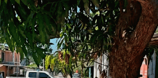 Hombre encuentra muerto a su hijo adolescente, en vivienda de Acalpican