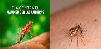 Michoacán cumple 21 años libre de paludismo: SSM