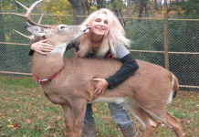 Jodi Proger, activista de venados, fallece tras ataque de uno de los animales que rescataba