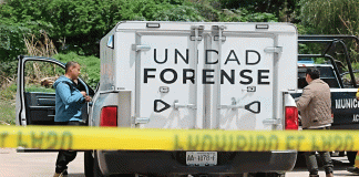 Roban 100 toros de un rancho en Aguascalientes; autoridades siguen la ruta del tráiler