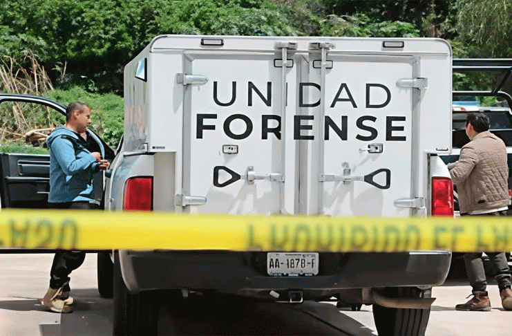 Roban 100 toros de un rancho en Aguascalientes; autoridades siguen la ruta del tráiler