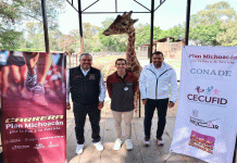 Alista tus tenis y corre mañana con Rommel Pacheco en el zoológico de Morelia