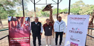 Alista tus tenis y corre mañana con Rommel Pacheco en el zoológico de Morelia