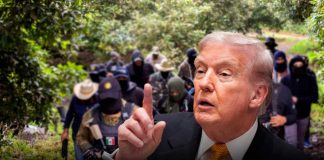 Trump advierte que EE. UU. tiene ubicados a los capos del narcotráfico en México y no descarta acciones militares