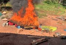 En Uruapan, dos campamentos destruidos y 5 kg de metanfetamina asegurados dentro del Plan Paricutín: SSP