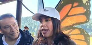 La mariposa Monarca es un destino imperdible de Michoacán: Sectur Federal