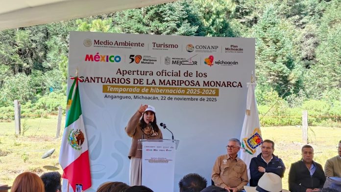 Untitled design (21)