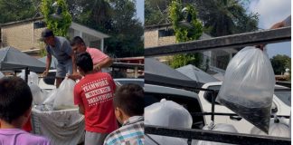 Compesca libera 100 mil alevines de tilapia en Lázaro Cárdenas