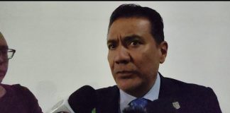 Michoacán alista la apertura de los santuarios de la mariposa monarca