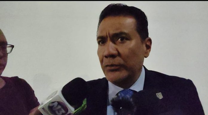 Michoacán alista la apertura de los santuarios de la mariposa monarca