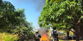 Desmantelados 4 campamentos clandestinos en Buenavista: SSP