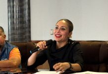 Más de 140 mil perros se encuentran en situación de calle en Morelia