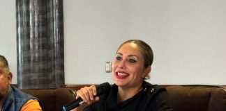 Más de 140 mil perros se encuentran en situación de calle en Morelia