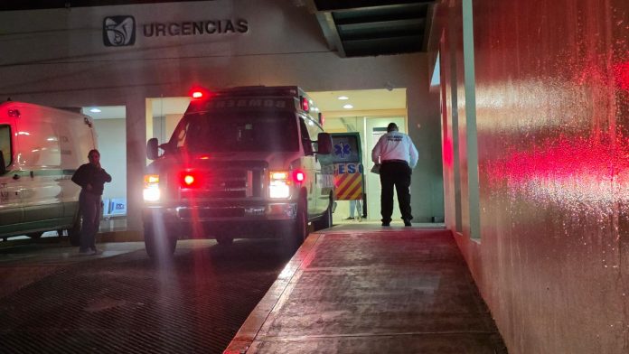 WhatsApp Image 2025-11-10 at 10.59.43