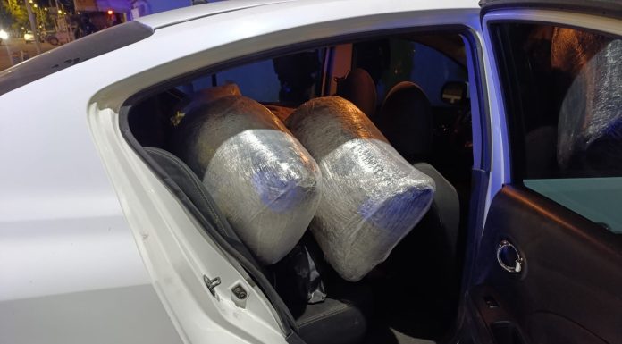 En Zitácuaro, un detenido con cerca de 30 kilos de mariguana: SSP