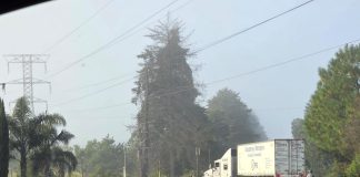 El campo y el volante se unen: Michoacán alista paro nacional