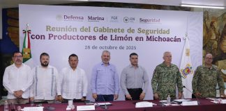 Michoacán listo para recibir a Harfuch y Trevilla para reforzar la seguridad: Bedolla