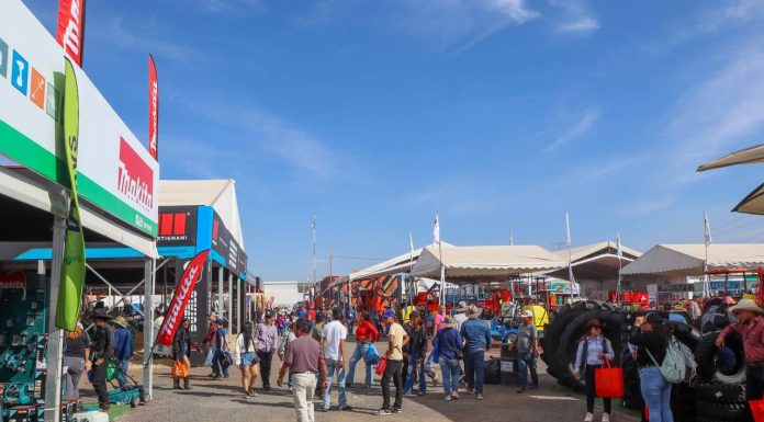 Campesinas y campesinos de Zacapu asisten a la Expo Agroalimentaria Guanajuato 2025 con el apoyo de Moni Valdez