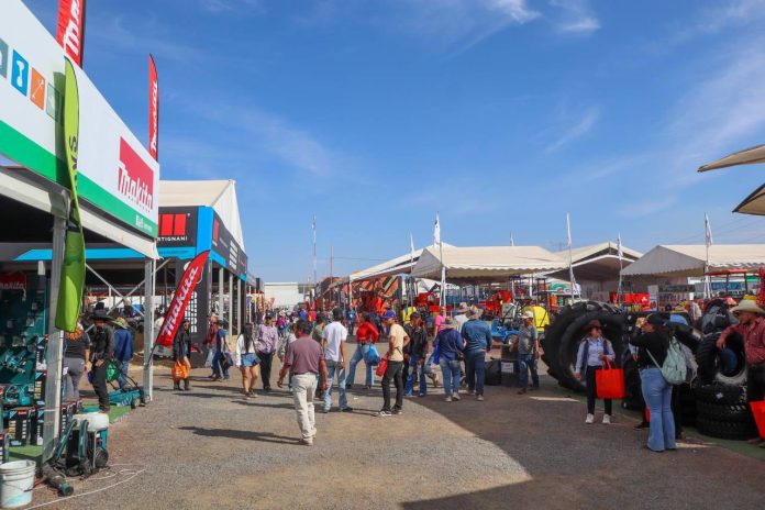 WhatsApp Image 2025-11-13 at 12.41.54