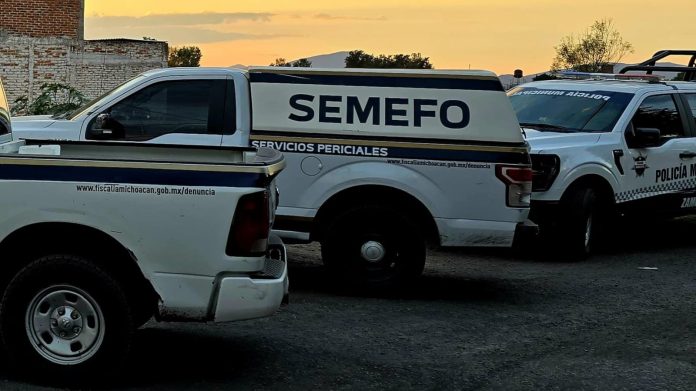 WhatsApp Image 2025-11-13 at 22.37.08