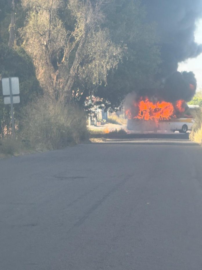 WhatsApp Image 2025-11-17 at 10.44.57 (2)