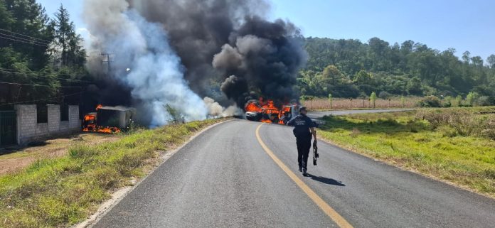 WhatsApp Image 2025-11-17 at 12.11.04