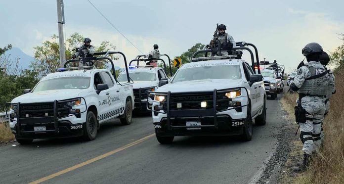 WhatsApp Image 2025-11-18 at 09.52.30