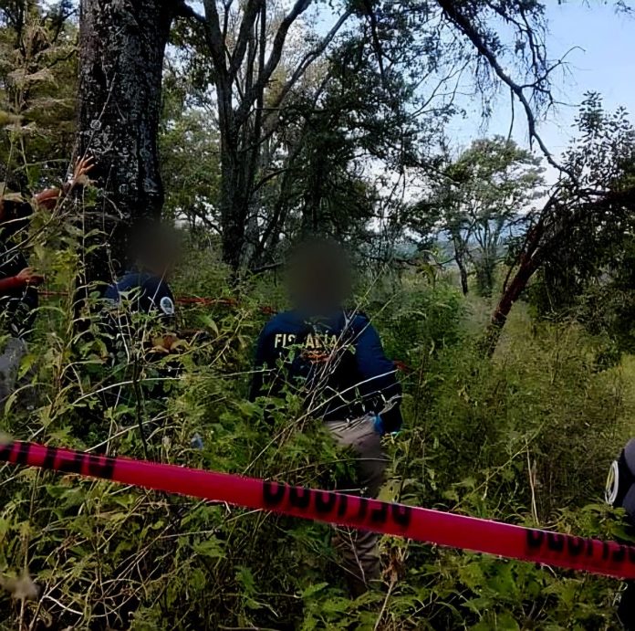 WhatsApp Image 2025-11-18 at 21.42.26