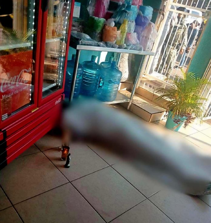 WhatsApp Image 2025-11-19 at 09.03.30