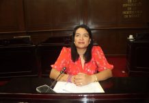 Erendira Isauro propone elevar a rango constitucional los apoyos para niñas, niños y mujeres con cáncer en Michoacán