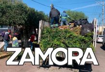 Mejoran la imagen urbana de Zamora con el programa de Faenas impulsado por Carlos Soto