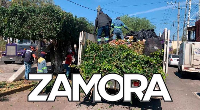Mejoran la imagen urbana de Zamora con el programa de Faenas impulsado por Carlos Soto