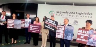 PRI exige liberar a jóvenes detenidos tras la marcha del 15 de noviembre en el Zócalo