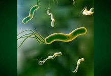 Así se contagia la letal bacteria que tienen 7 de cada 10 mexicanos y que produce cáncer gástrico