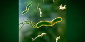 Así se contagia la letal bacteria que tienen 7 de cada 10 mexicanos y que produce cáncer gástrico