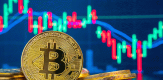 Bitcoin pierde impulso y borra sus ganancias de 2025 pese al apoyo institucional