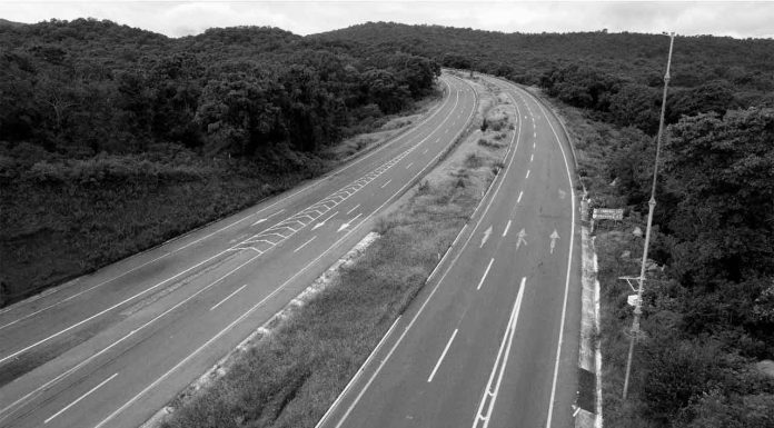 Conductor pierde el control tras chocar con vaca en la Autopista Siglo XXI