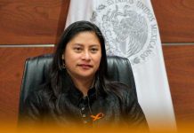 La Senadora Celeste Ascencio propone sancionar como falta administrativa grave la violencia institucional contra las mujeres
