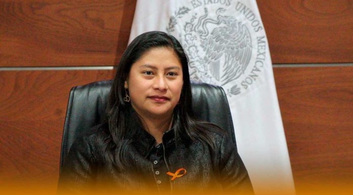 La Senadora Celeste Ascencio propone sancionar como falta administrativa grave la violencia institucional contra las mujeres