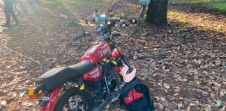 Adulto mayor es localizado sin vida en una huerta de aguacate, en Uruapan