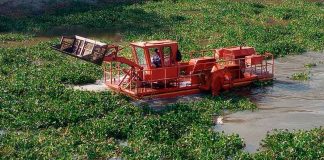 Gobierno de Michoacán avanza en la rehabilitación del Río Lerma en La Piedad
