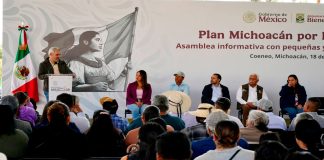 Federación y Estado garantizarán precio justo para la lenteja michoacana; Zacapu entre los principales beneficiados