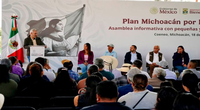 Federación y Estado garantizarán precio justo para la lenteja michoacana; Zacapu entre los principales beneficiados