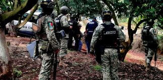 Militares desmantelan narcocampamento y tras enfrentamiento abaten a 2 presuntos criminales en la región de Zinapécuaro