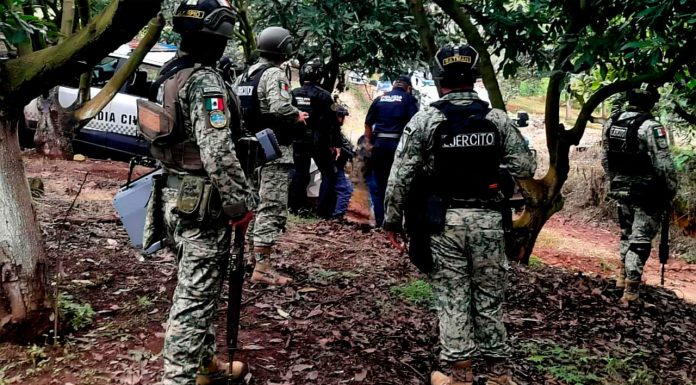 Militares desmantelan narcocampamento y tras enfrentamiento abaten a 2 presuntos criminales en la región de Zinapécuaro